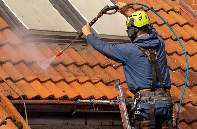 Démoussage et hydrofuge de toiture à Pusignan